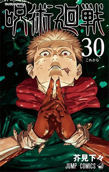 Jujutsu Kaisen 30